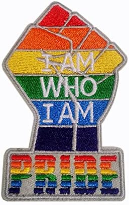 Dan ponosa Napravite američku gay ponovo Rainbow LGBTQ Amerika zastava vezena šiva glačala na patch poklons Memorabilia Dekoracija