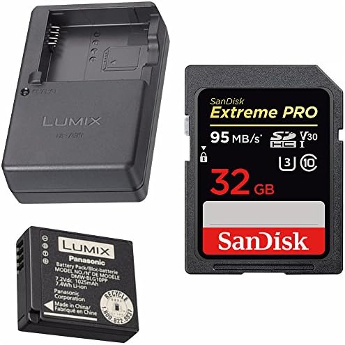 Panasonic Lumix baterija i punjač Pack W / SanDisk 32GB SD kartica