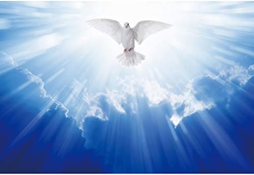 OERJU 15x10ft Isus Krist Sveto svjetlo zrači fotografijom pozadina Bog blagoslov bijeli golub plavo nebo nebo Messenger vjerovanje
