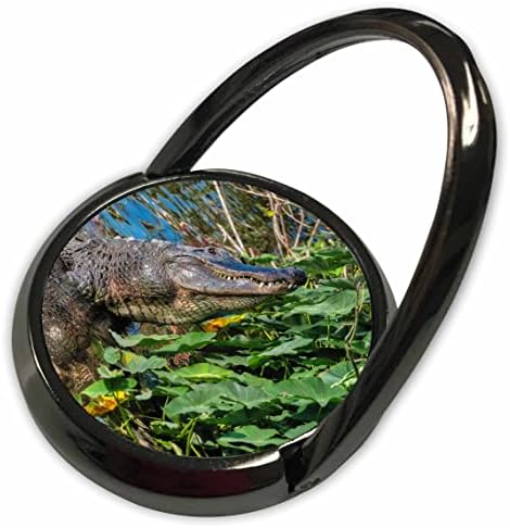 3Droza Danita Delimont - aligatori - Američki aligator, Florida - Prstenje telefona