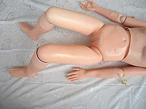Tuozhe Human Anatomsko model muško i žensko jating manikin multifunkcionalni simulator za njegu pacijenta za medicinsko obuku