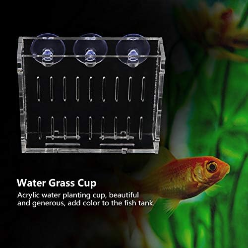 Izuzetna prozirna čaša za vodenu travu, sigurna 3 usisna čašica dizajn akvarijska čaša za biljke, Tank Aquarium aquarium tank dekor