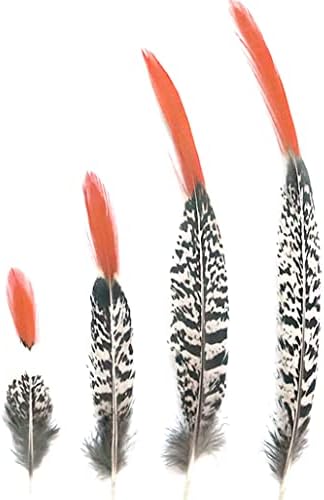 TTNDstore prirodna dama Amherst fazan perje za 5-30cm/2-12 perje nakit Making vjenčanje Karneval Plumes Plumas-16841