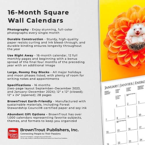 Graphique 2024 Najsretniji zidni kalendar Zidni kalendar | 12 x 12 | Debeli papir | Kućni i ured organizator | Velika mjesečna mreža