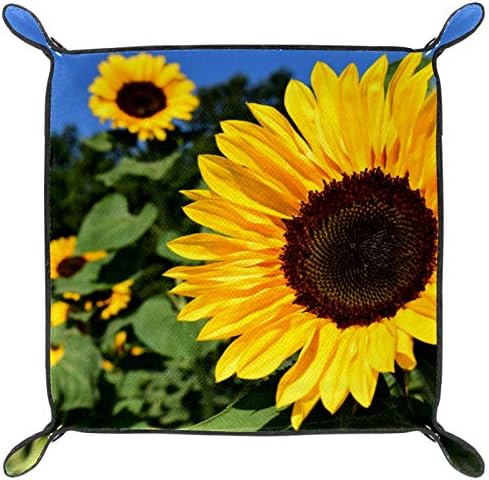 Lyetny Sunflower suncokretovo polje Žuti ljetni cvijet organizatora za skladištenje pladnja za skladištenje kreveta za pladanj za