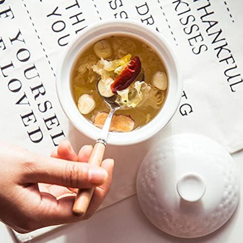 Operilacx keramički lonac sa poklopcem i kašikom japanske malene parne supe za kuhanje pare posuđa za začinu posudu za začinu žitarica