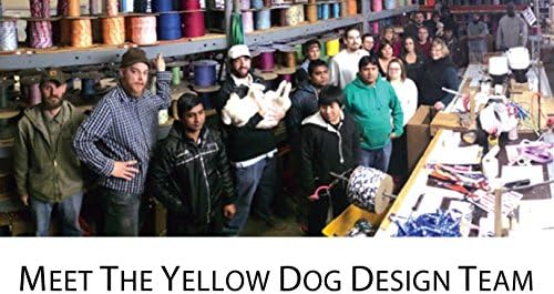 Žuti dizajn pasa Lime Polka Dot ovratnik za pse uklapa se 14 do 20 , srednje 1 široko, višebojna,