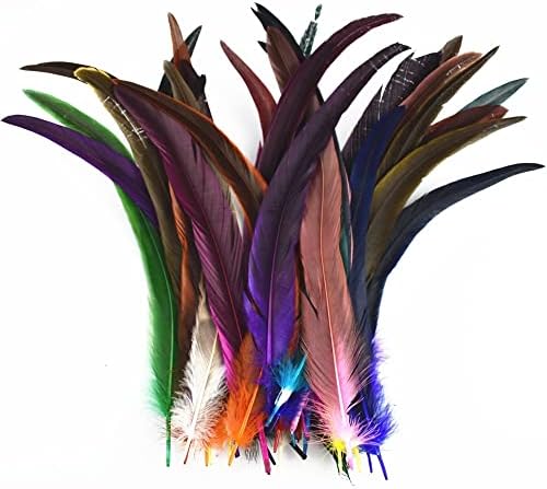 100kom / Lot obojeno perje Pijetla Decor 25-35cm 10-14 prirodno pileće pero za zanate DIY Karneval ručni dodaci - 30-35cm 12-14inch