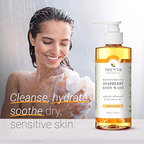 Tree to Tub Citrus Body Wash za suhu kožu & amp; Sensitive Skin-PH Balanced Hydrating Body Wash, Hydrating Sulfate Free body Soap