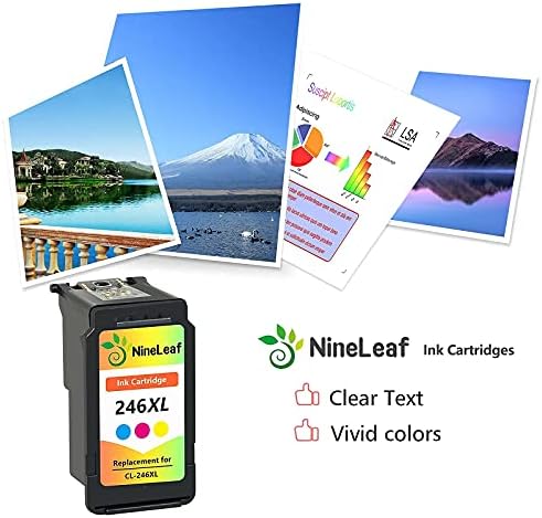 NineLeaf Remanufactured High Yield Ink Cartridge Compatible for Canon PG-245XL CL-246XL PG-243 CL-244 PIXMA MG2520 MG2920 MG2922 MG2924