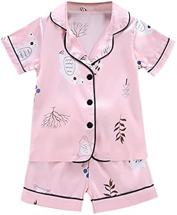 Baby Girl Topla odjeća Toddler novorođenčad Dječak Dječak Jagoda za ispisne košulje i hlače 2pcs Girls Sil haljina haljina