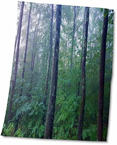 3Droza TDSWITE - Ljetne sezonske prirodne fotografije - Woods maglovit jutro - ručnici