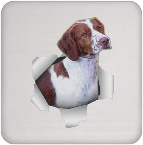 Smiješan brittany Dog crvenkasto-smeđi bijeli Božić 2023 pokloni Coaster za muškarce Ženske ljubitelje pasa