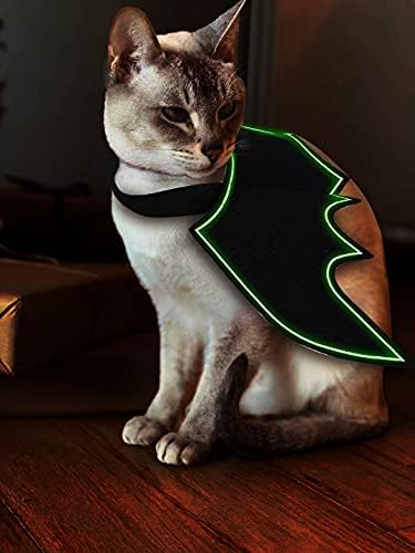 Iskrena stranka sjaji u krilima tamnog šišmiša, Cat Halloween kostim, mačka prerušava krila šišmiša za Noć vještica, zelena