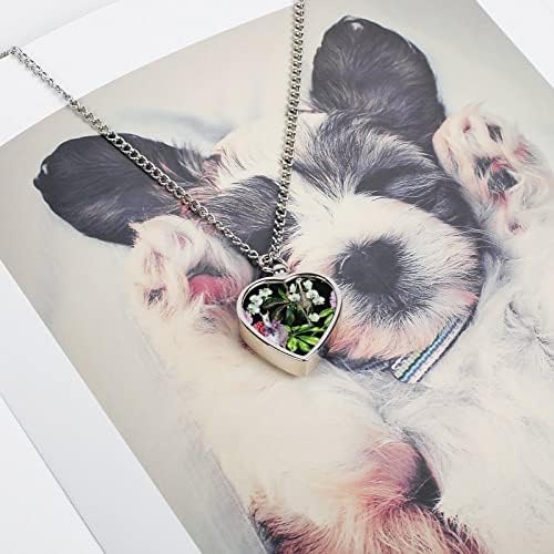 Akvarelna ogrlica od alpake lame i nojeva urne za kućne ljubimce kremiranje privezak sa srcem spomen-uspomena nakit za pse mačke pepeo