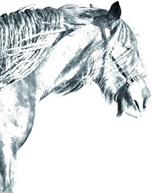 Art Dog Ltd. Shire konj, Ovalni nadgrobni spomenik od keramičke pločice sa slikom konja