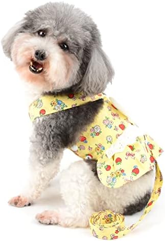 Ranphy odjeća za kućne ljubimce za malu pseću haljinu sa povodcem prsten štene slatke štampane haljine pojas čipkasta princeza kostim