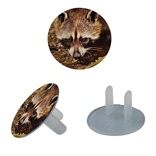 Slatki životinjski raccoon Outlet Outlet Outlet Covers 12 Pack - Outlet outlet utikača za bebe - izdržljivi i stabilni - dete lako