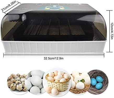 Zapion inkubator za jaja automatsko okretanje za pileće pačje guske ptice digitalna kontrola temperature vlažnost 12egg