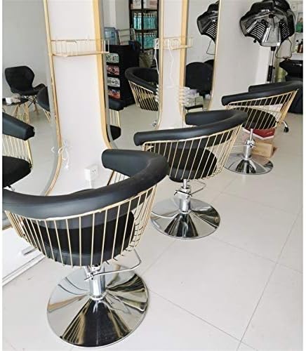 Wfyw klasična salonska stolica za frizera frizera, Tattoo frizerske stolice za teške uslove rada stolica za kozmetički Salon, Lift