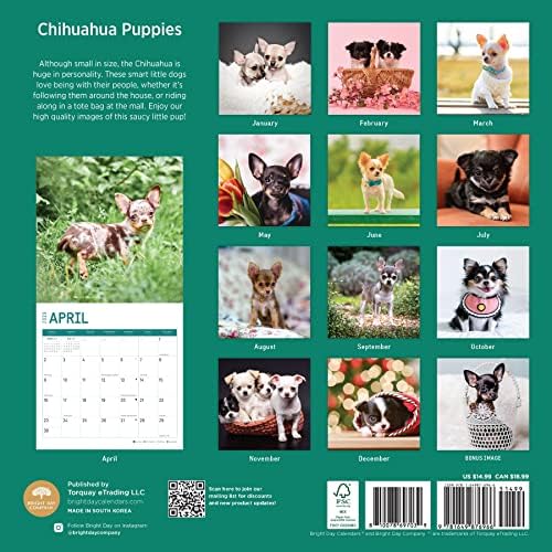 2023 Chihuahua Luppies Wall Calendar sa vedrim danom, 12x12 inča, simpatična fotografija za kućne ljubimce
