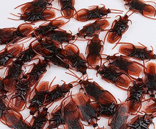 12- lažni roachs prank - žoharičke bube izgledaju pravo crno