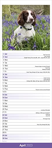 Engleski Springer španijel Slim Calendar 2023 | Pasmina pasa Slimline Kalendar - 12 mjeseci
