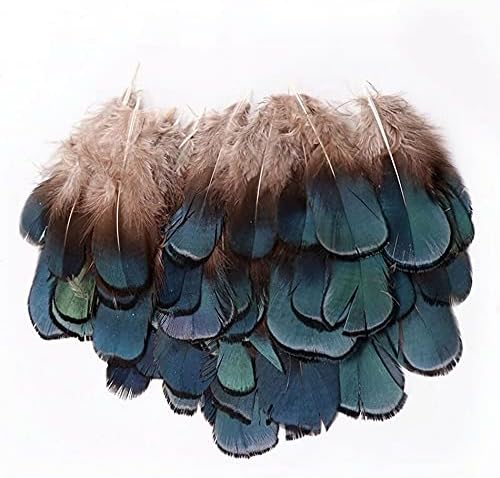100kom mali fazan perje Hair Craft Plume prirodni DIY perje nakit Izrada ukrasa za svadbene zabave Plumas-100 kom - Zamihalaa