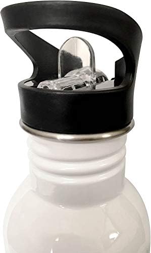 3Droza Robin u Wisteria Vine vektor umjetnosti - boce za vodu